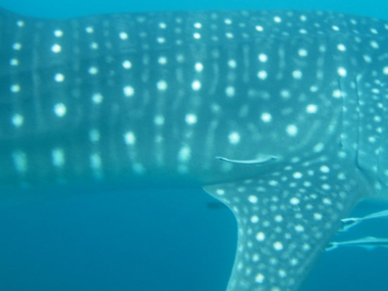 2703df99-ea4b-4b82-8926-34d548a806d7