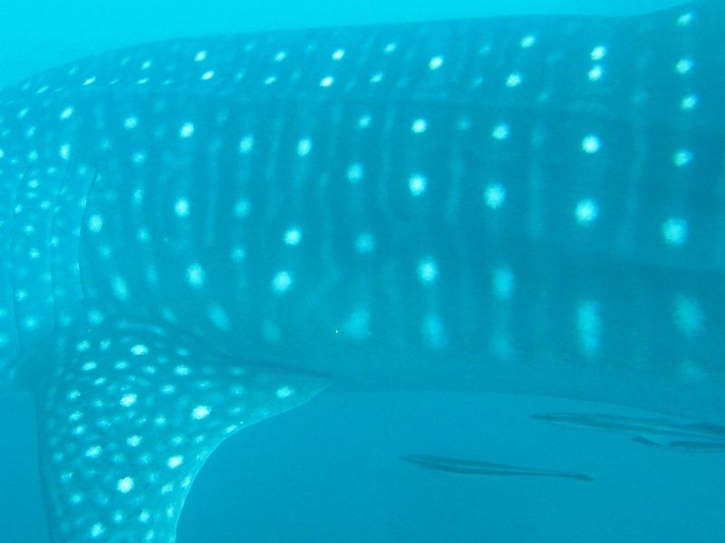 2703df99-ea4b-4b82-8926-34d548a806d7