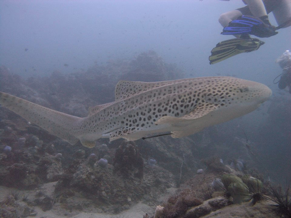 d0fabfcb-9987-48e1-897a-f8b2c4d28818