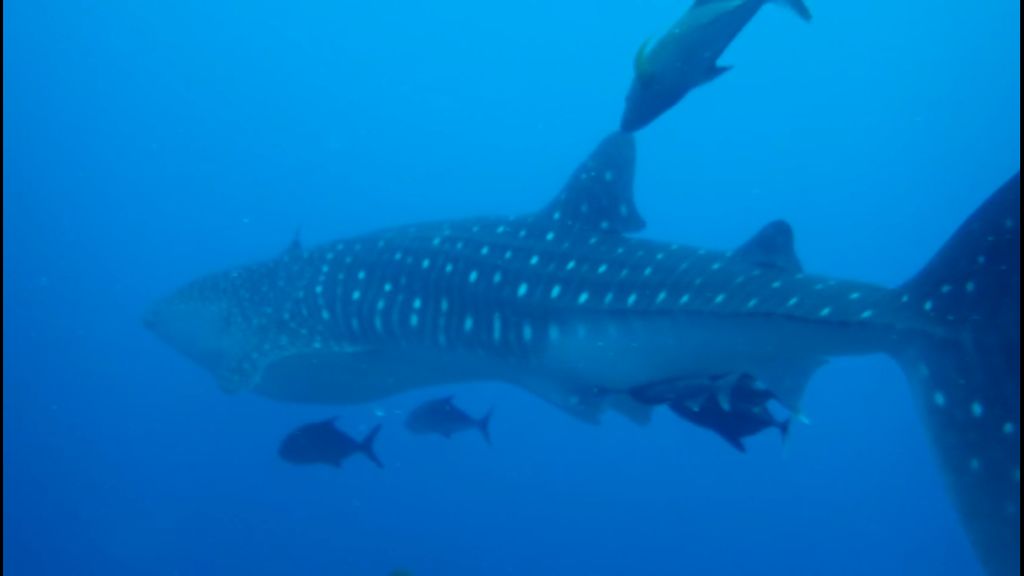 5ee3223d-22fb-45d9-81bd-69d823c55db3