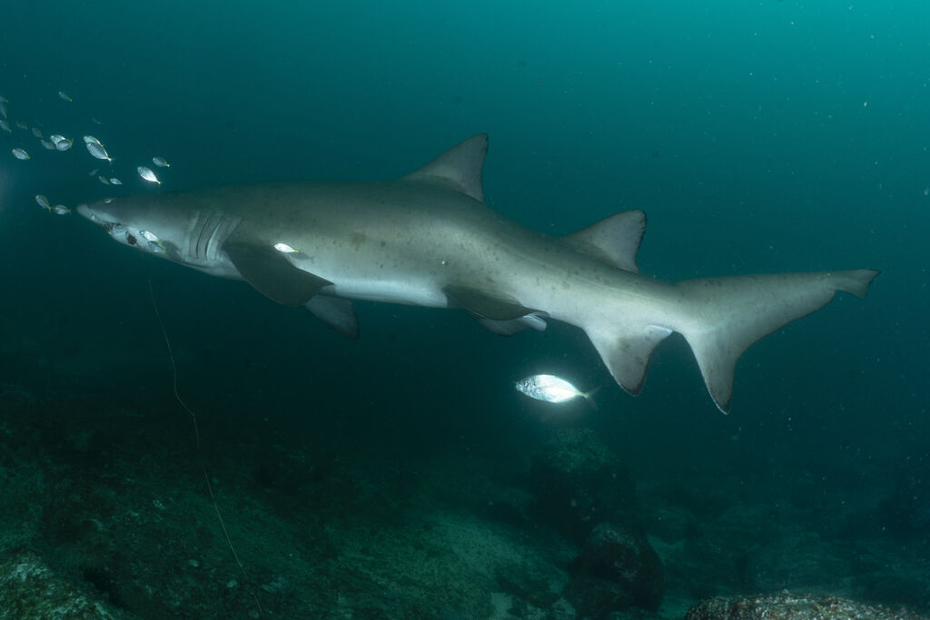 987eab07-223f-4ff9-81f3-8559e881afb1