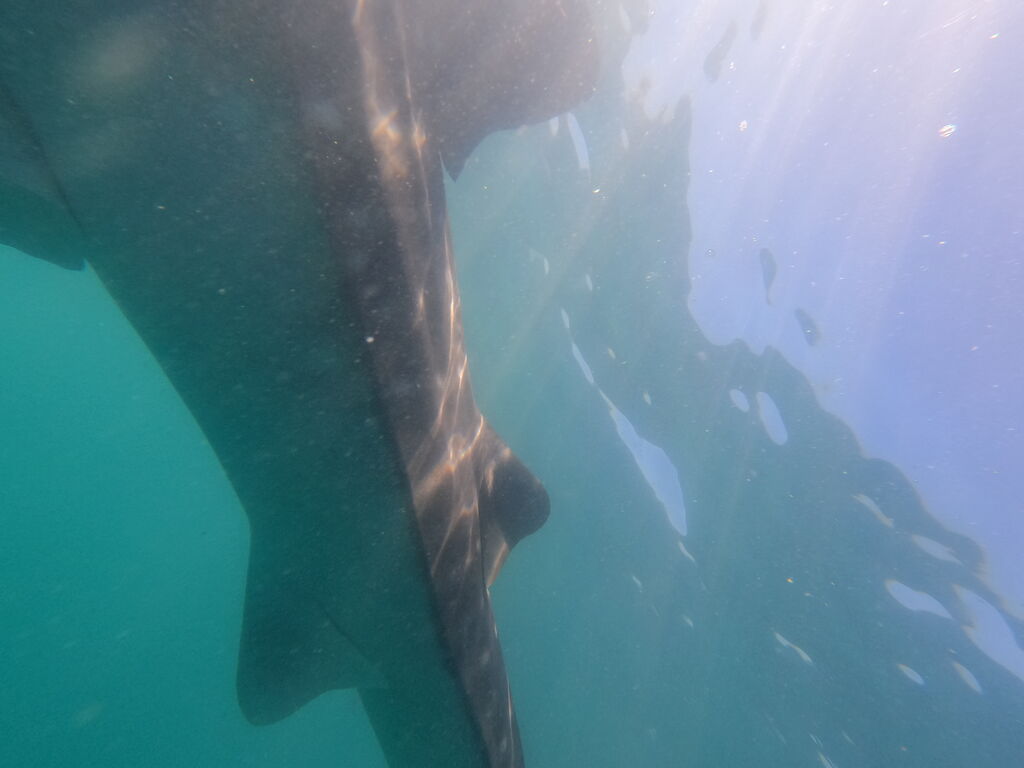 b9d42291-d689-416f-834a-0feb4eb7e191