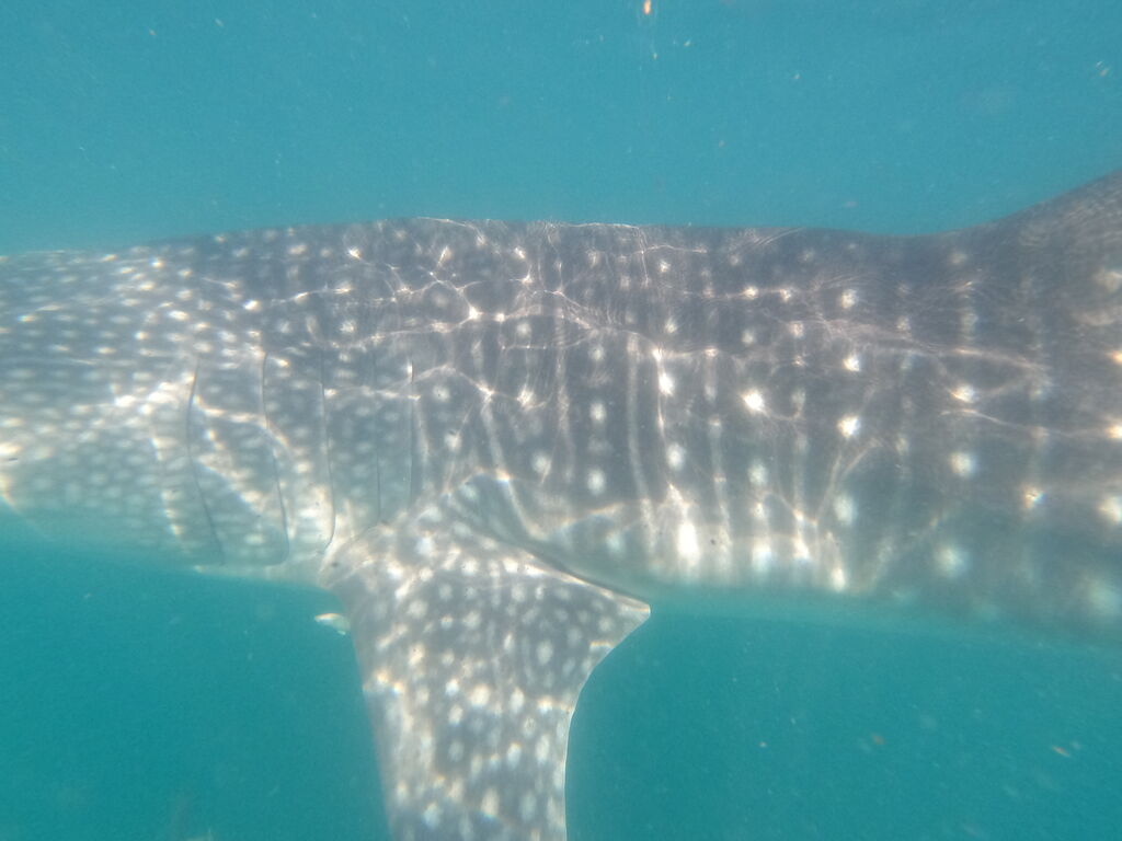 b9d42291-d689-416f-834a-0feb4eb7e191