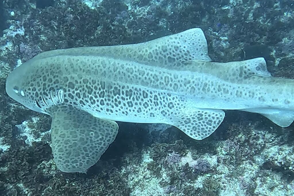 dde8757c-456d-4a76-8567-1aa76542d964