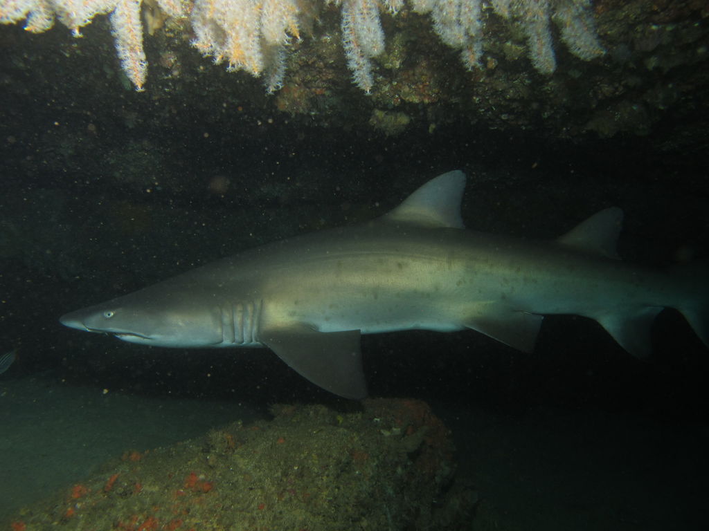 6106e937-07aa-44cc-89ab-bf498db3b768