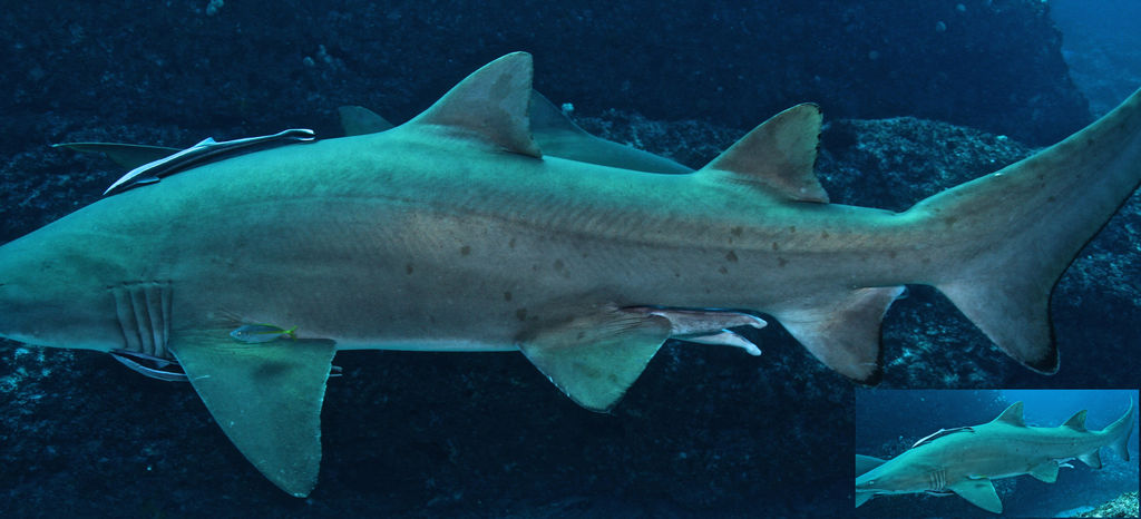 2d9611f3-baf4-40ed-9711-3ce45006ccba