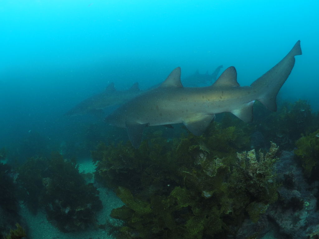 e6dd910f-264e-43b6-87f3-73196477e17f