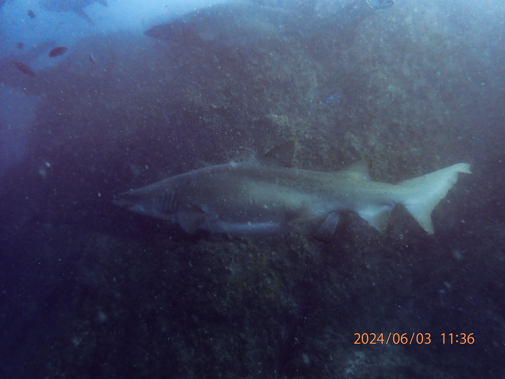 e9169409-4a23-4047-8135-4dd1e4600375