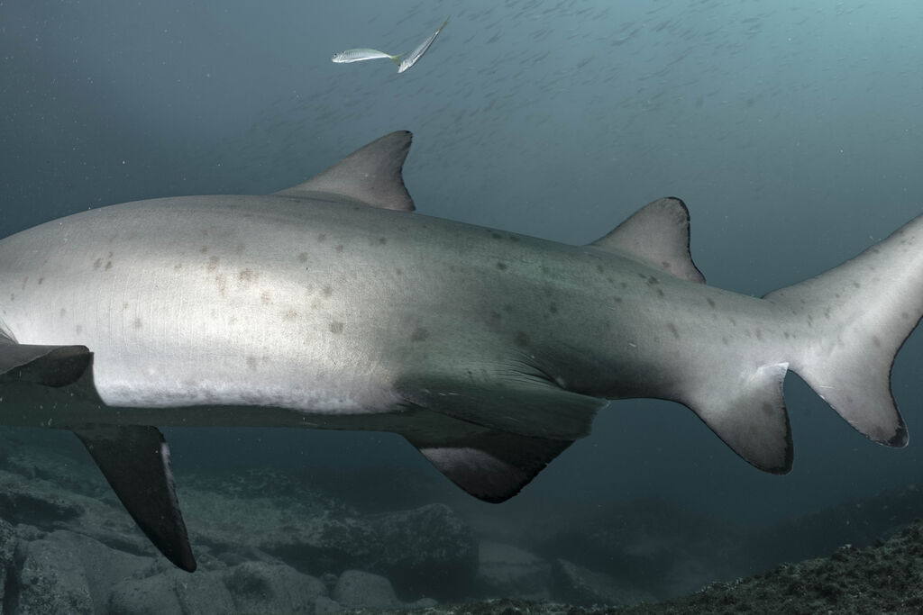 0d79645f-99e1-4f6b-a9d2-9eaf4800c732