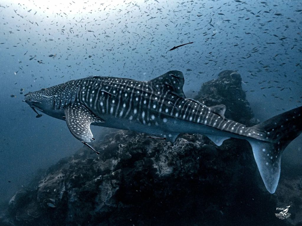 93ccac9d-9702-47cb-907b-506096a40df2