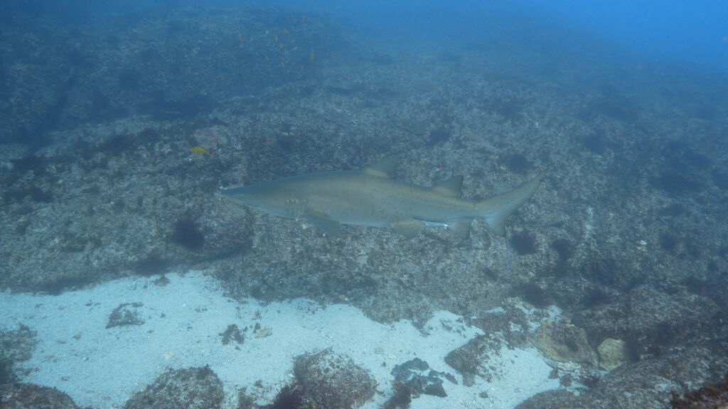 89a8a89e-6df0-45c4-8f5b-b4ae148db06e