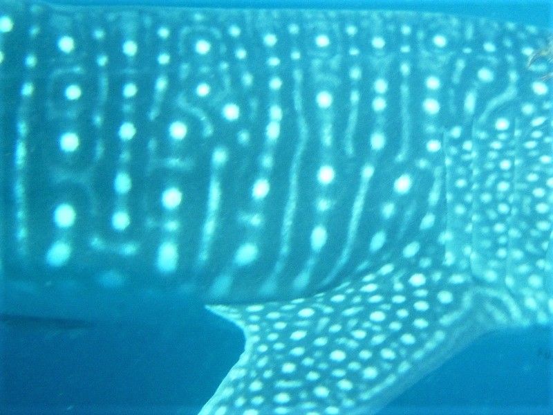 7fad0e35-4d8d-499b-9183-dca32d3ccc32