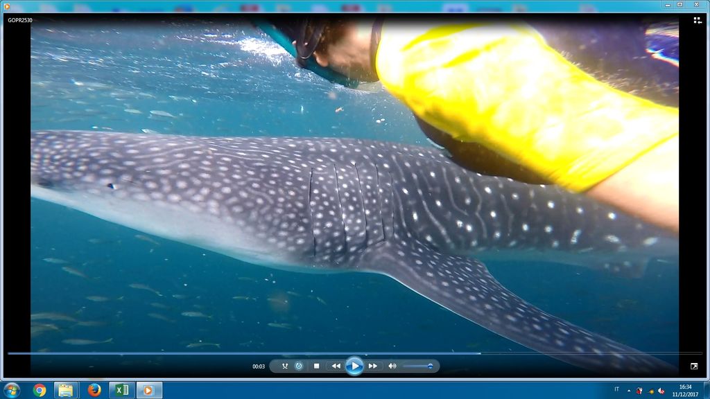 4bf9c650-b72d-4f87-b920-344493d1008f