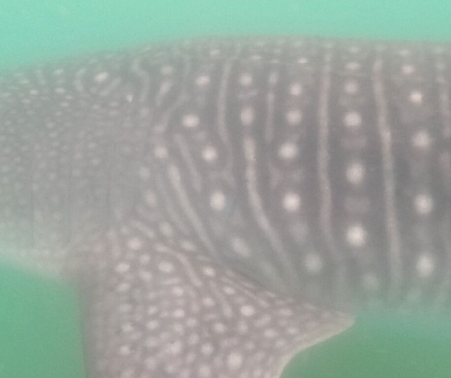 010db894-ffda-41f9-91e9-92b6b2687e29