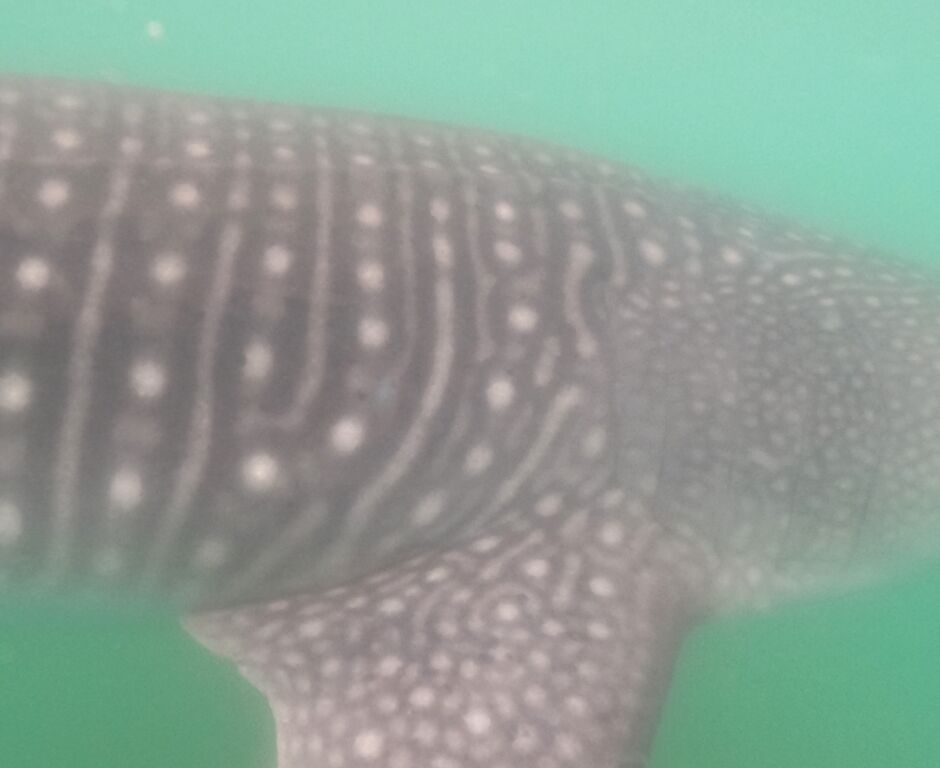 010db894-ffda-41f9-91e9-92b6b2687e29