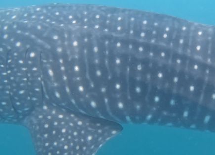 4f09aec3-c025-4a08-bae7-a4f3843c2b0c