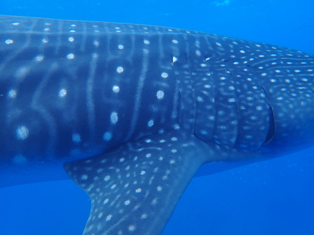 b33db11e-a045-4d3a-96b4-6bc3bc5abf1f