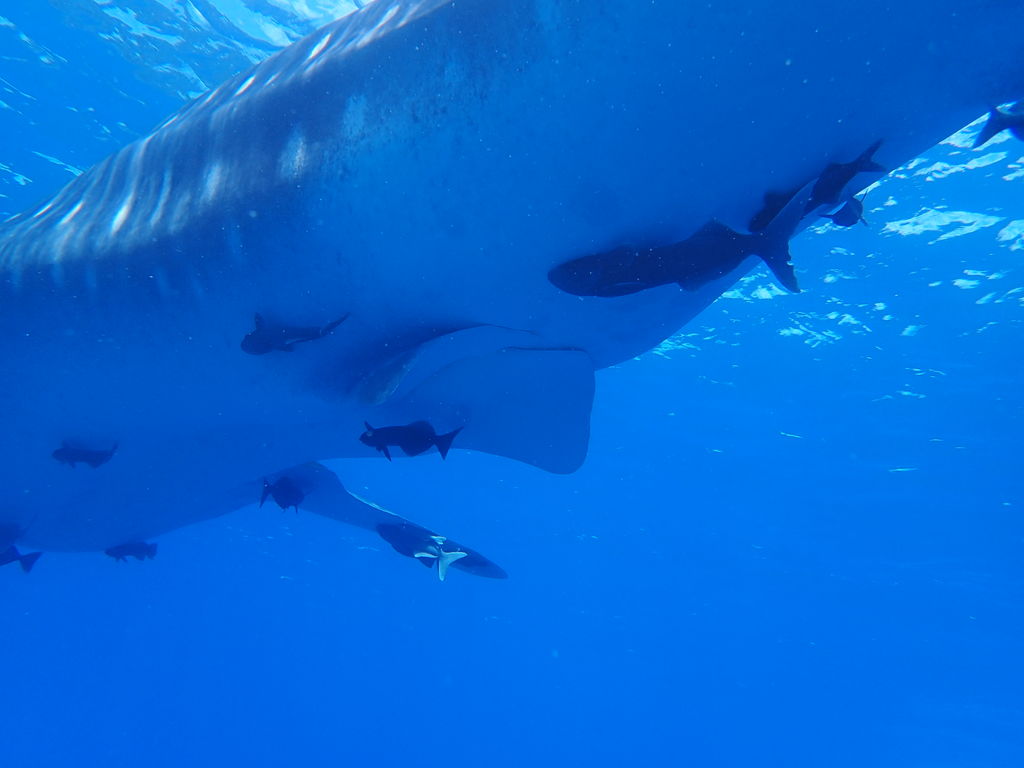 b33db11e-a045-4d3a-96b4-6bc3bc5abf1f