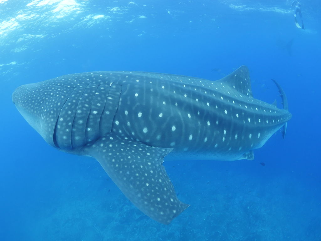 b33db11e-a045-4d3a-96b4-6bc3bc5abf1f