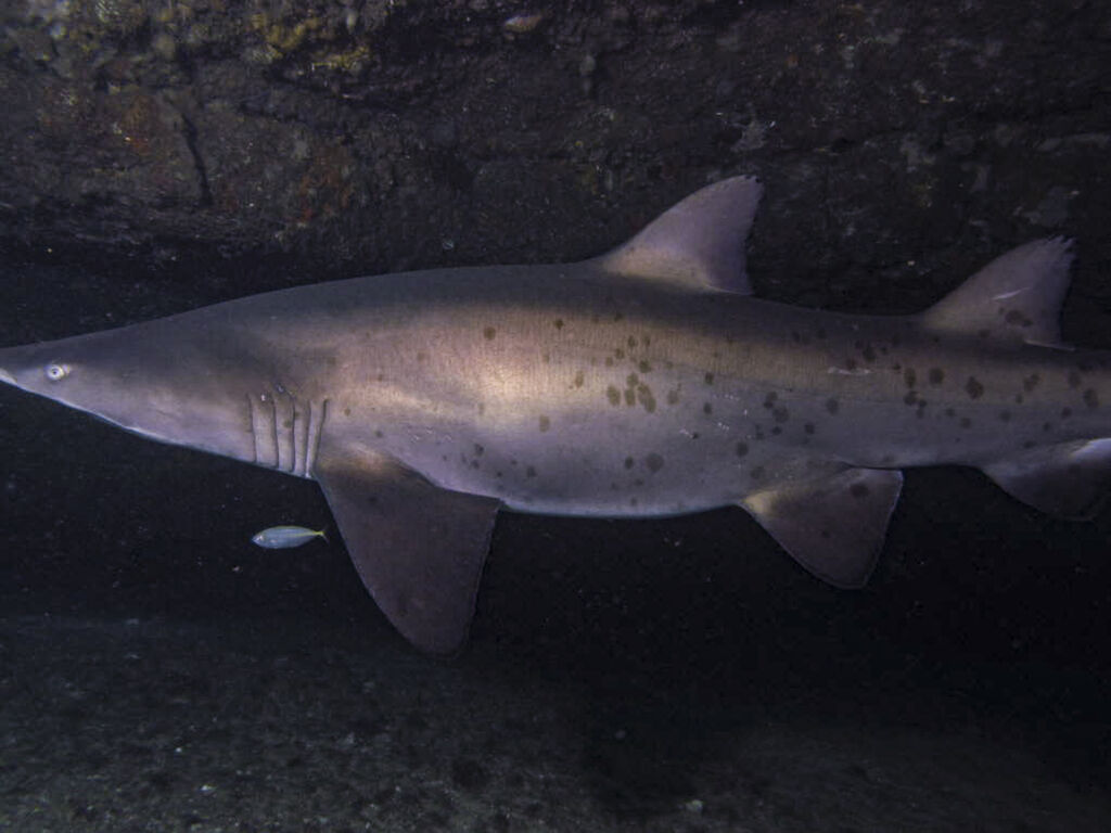 c1dcd73a-a8cd-495e-b5a2-40e0cbbc9307