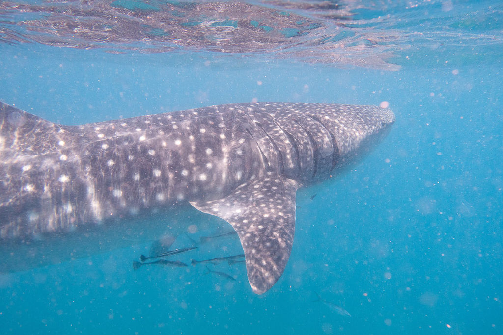 61d65961-5823-4f49-a4f0-9caed449f22d