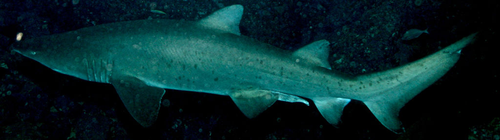 f4a7ec91-d0d2-4c79-a5c9-19af4696816f