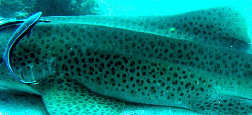 a9d93dc9-274c-4c7e-b93f-cce811e4bf9f