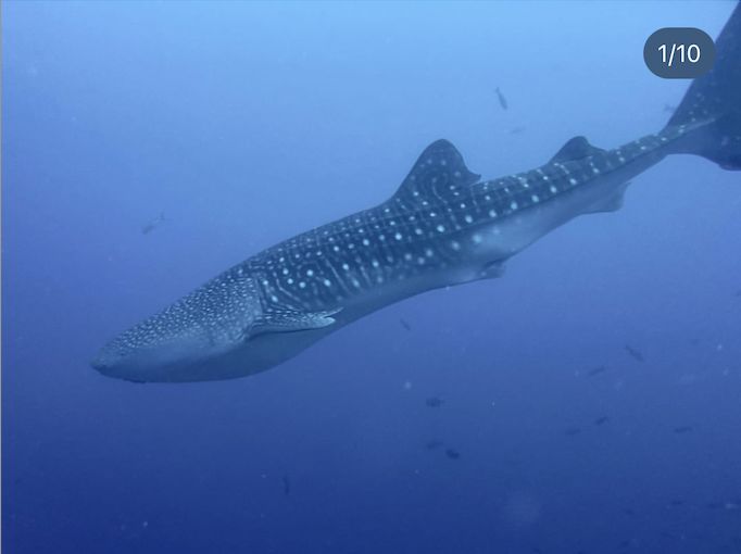 c27ff8bd-9b94-4b35-ae45-23258d29aa2e