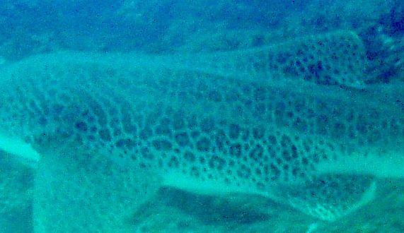 4f893c59-9bc0-4aaa-82a5-6bad252723c3