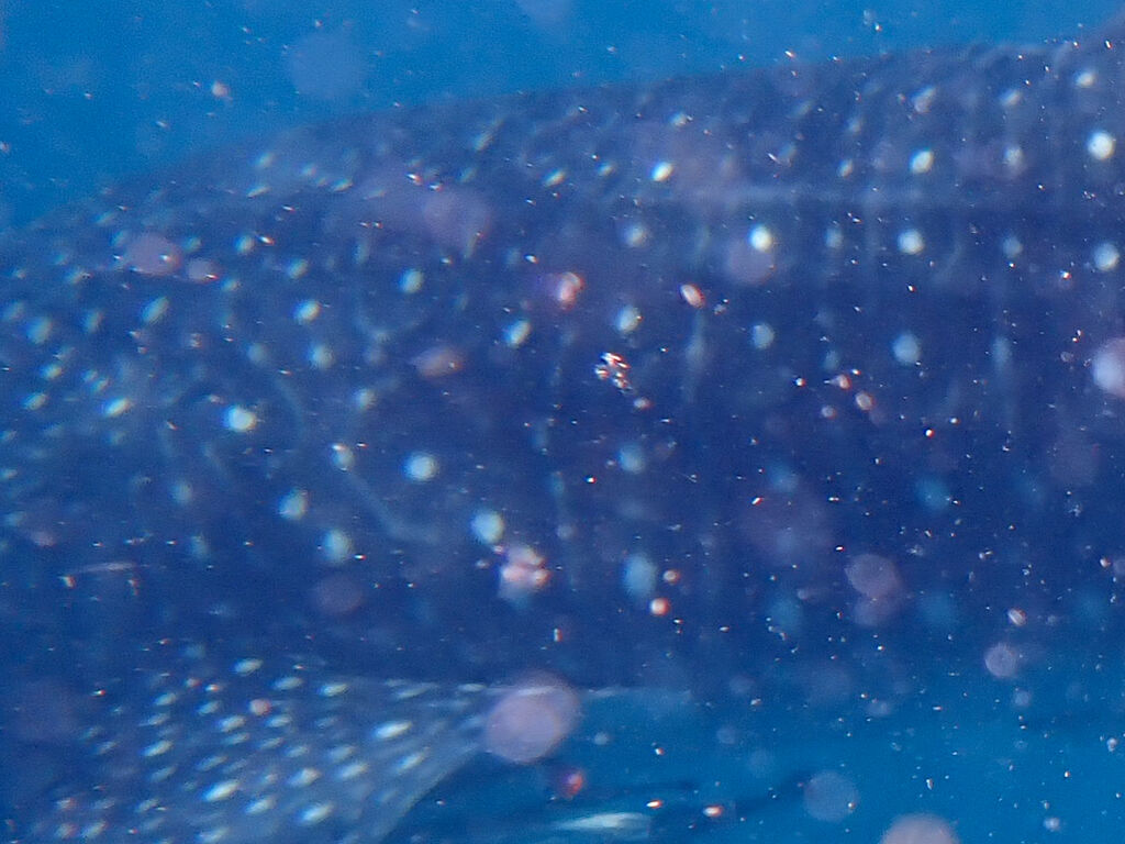 996b9b12-b82a-432c-ab23-5bd51b59f705