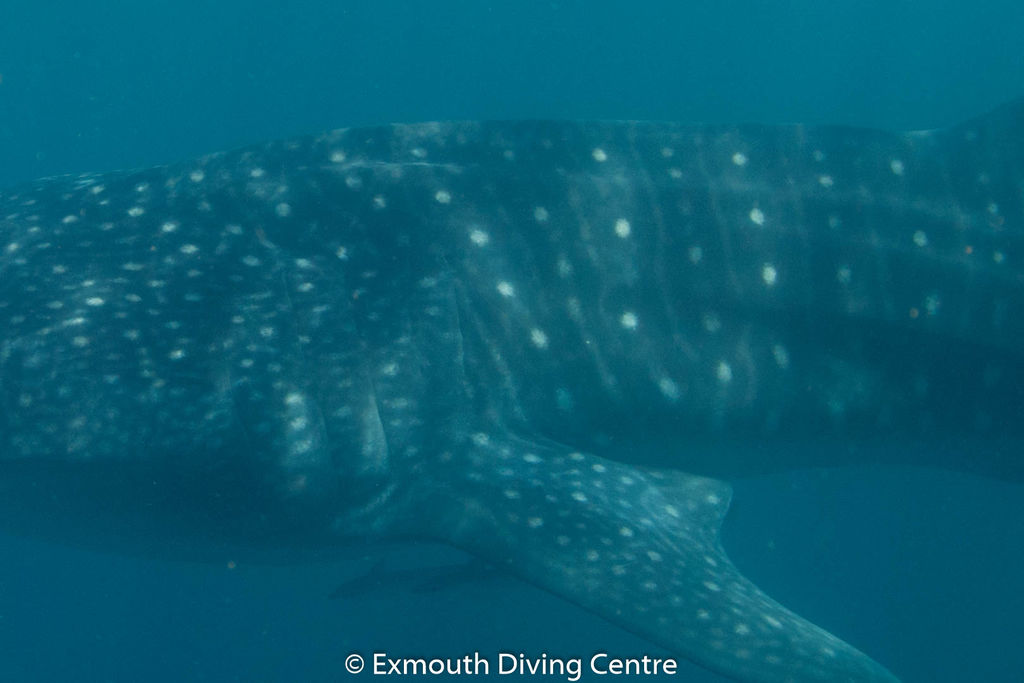 1d3d2551-66f7-48a3-a8c5-eed0ce9342fa