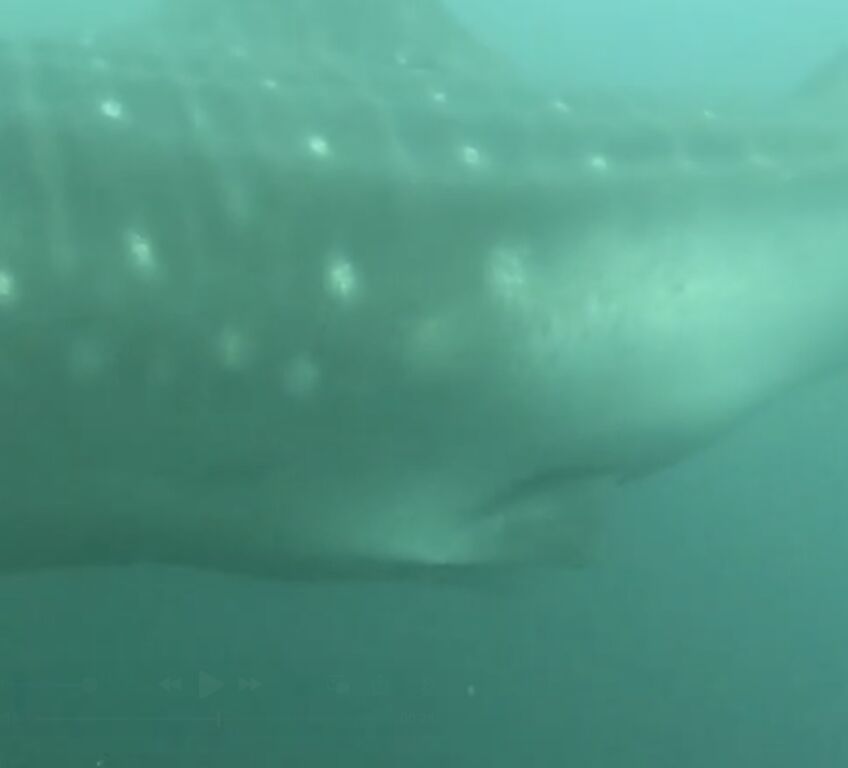 131b65c6-7cad-48d8-a0ec-27c09584e7f1