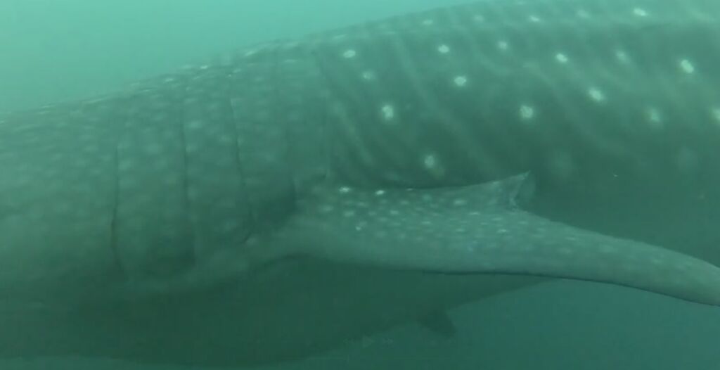 131b65c6-7cad-48d8-a0ec-27c09584e7f1