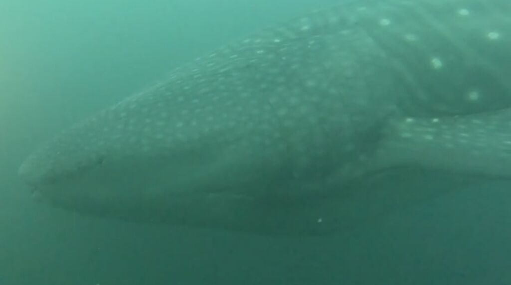 131b65c6-7cad-48d8-a0ec-27c09584e7f1