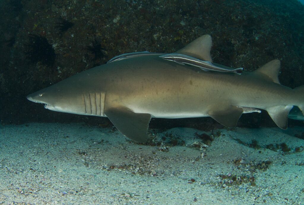 c7261ddf-4002-4672-ac04-9b8190a7dde6