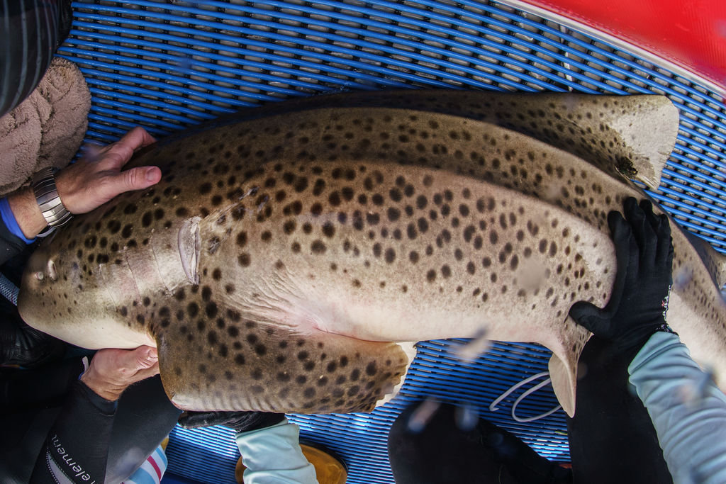 561242db-c3f9-47db-b3aa-8610cc38c12f