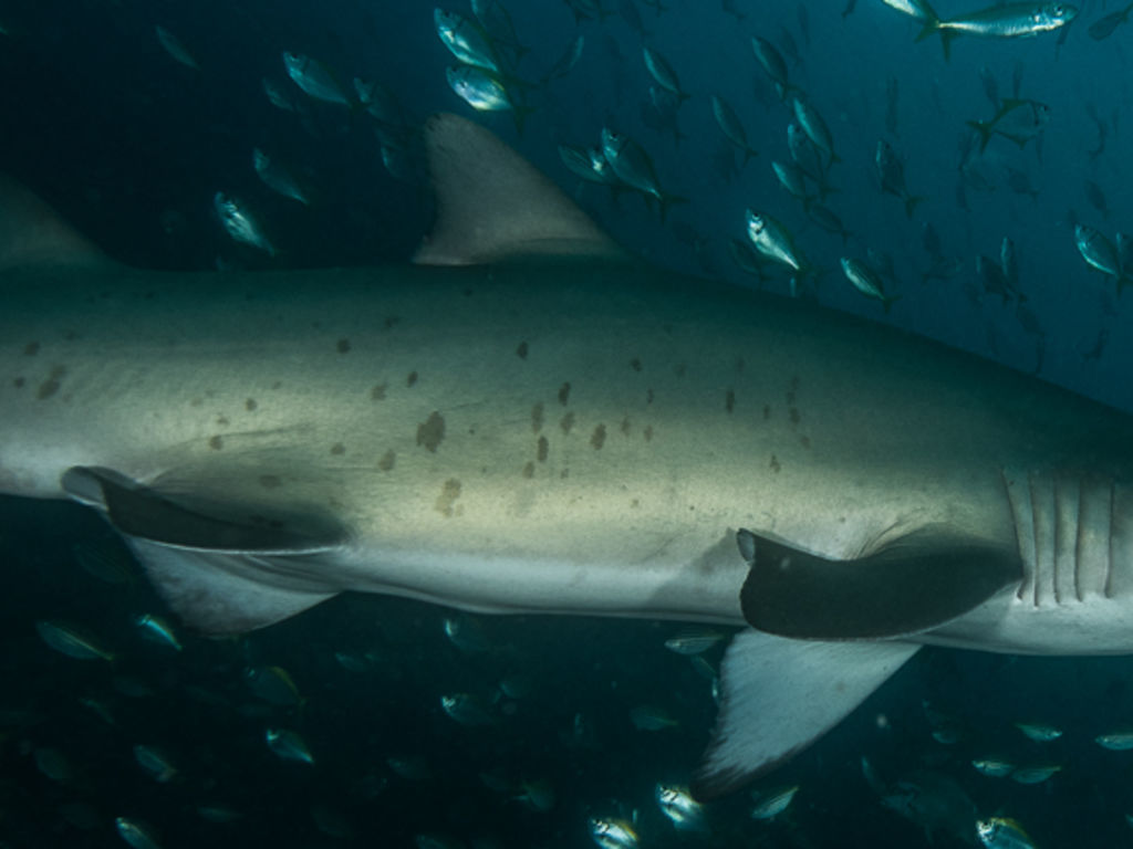 523c3c07-e175-4dda-9f89-1895ea83a2d6