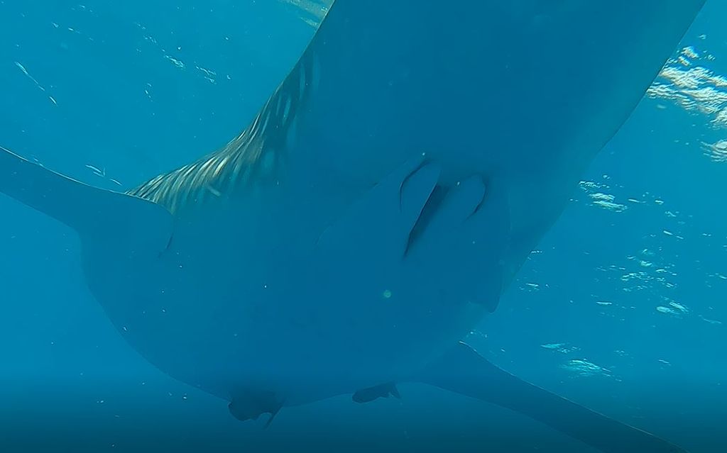 1df496c0-bed4-4b38-bfac-b6f121b45f23