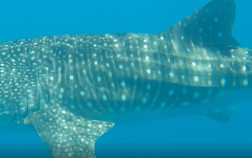 1df496c0-bed4-4b38-bfac-b6f121b45f23