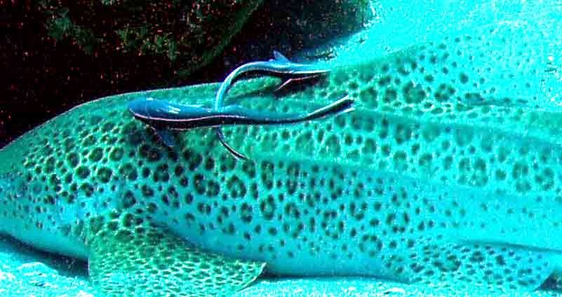 89451067-42b8-45b7-9dec-7cf1cf6407df