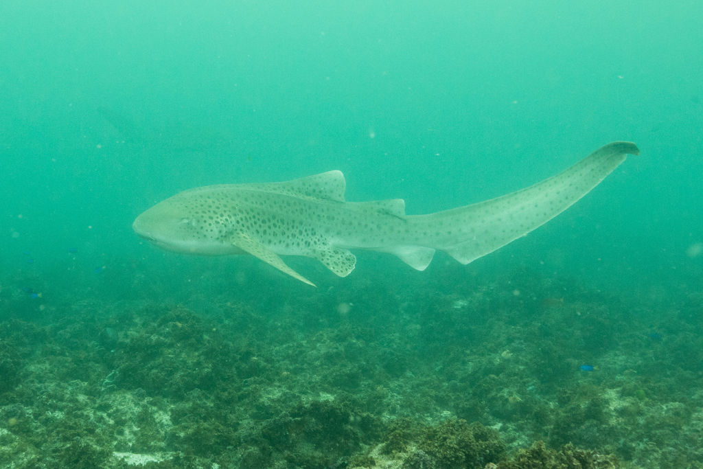 92b8c15e-8f8a-4395-aa83-22077c8abec2