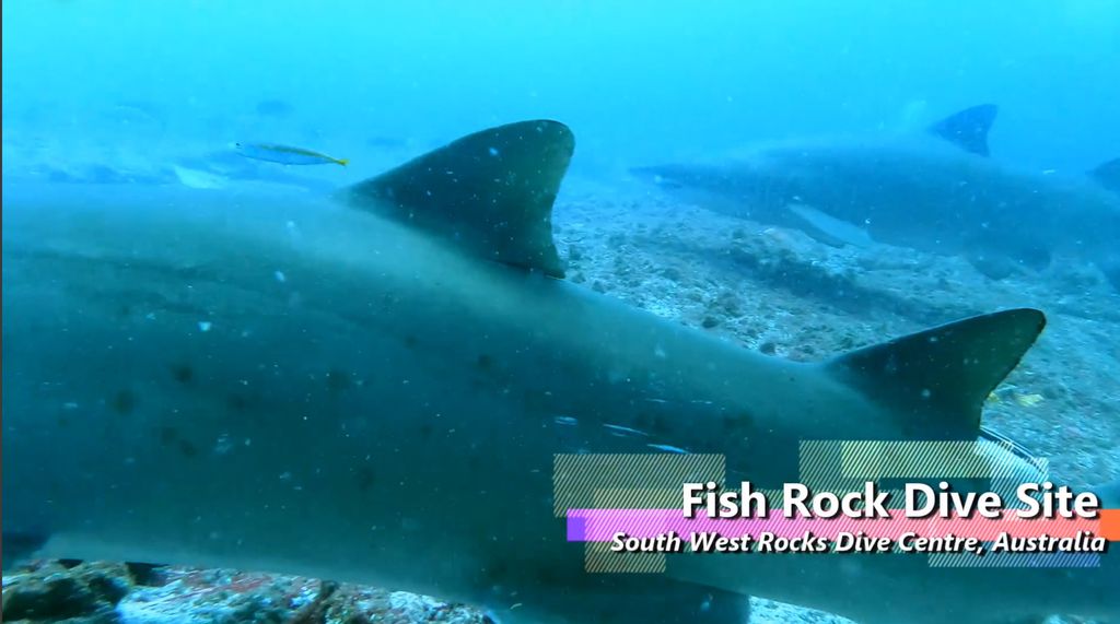 5e591e18-5585-4633-a6f7-cc7c0e50c886