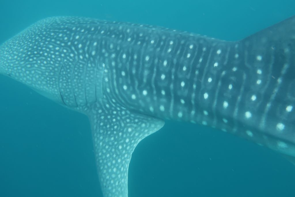 8264421f-88ff-4b54-9869-c659744f10e1