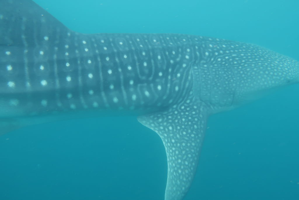 8264421f-88ff-4b54-9869-c659744f10e1