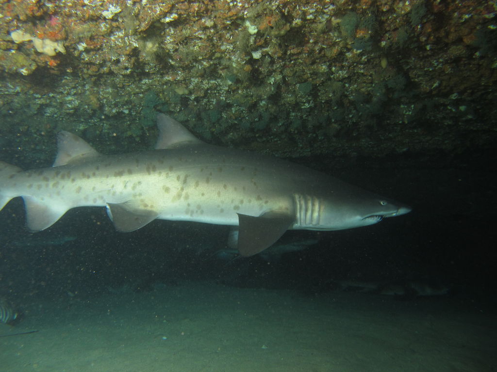 3ed16300-0f4f-4e84-98ae-76fac4504ce6