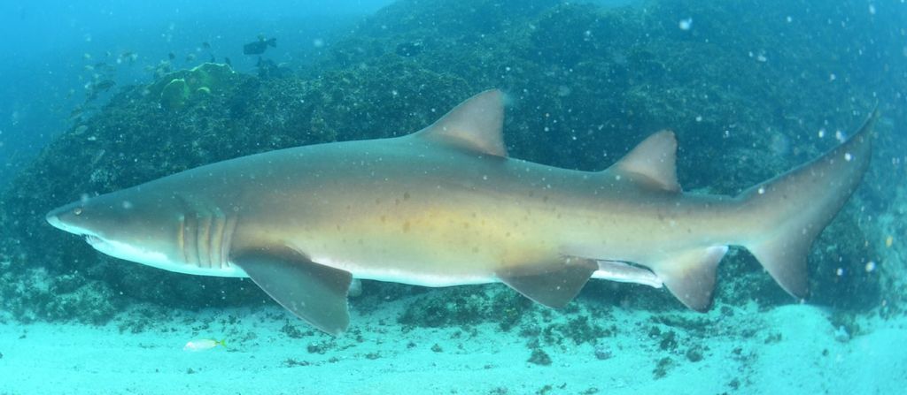 ec5397f2-8e6e-454a-ac9f-467c716a51f1