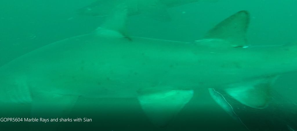 0796f4c1-05ae-4df1-b421-1caad3128b07