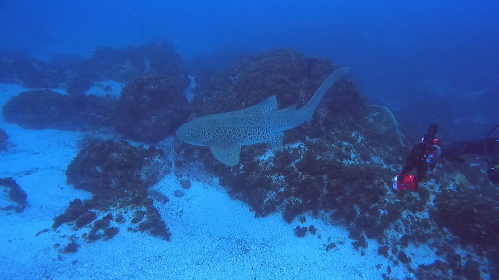 2fb72a87-0f8b-406d-9ade-bf1d2fa8f619