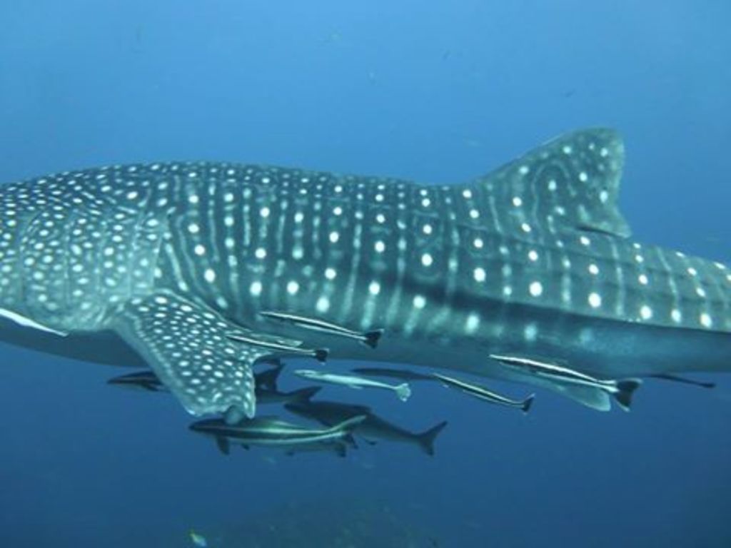 62c03fc2-d7f8-4ec6-90ee-c376c86dc8cf