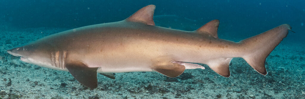 095c7b9a-3d06-4281-86d0-29bc6fcfaba7